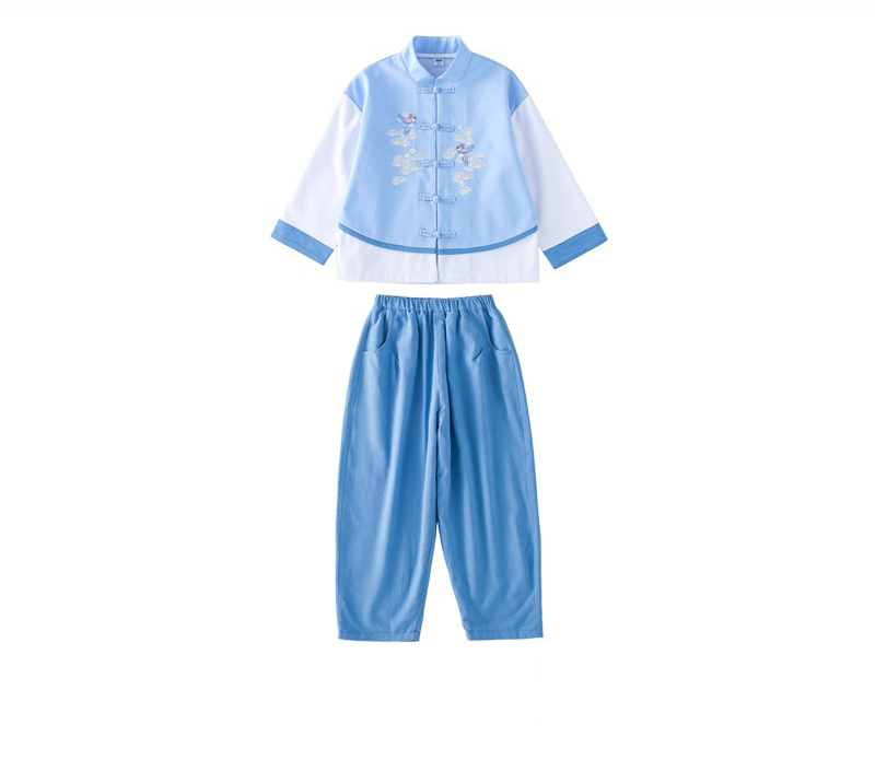 Pigeon Pair Kids' Hanfu from China A Traditional Design Boy and Girl Hanfu for Children Retro Embroidered Long Dress Spring - Image 6